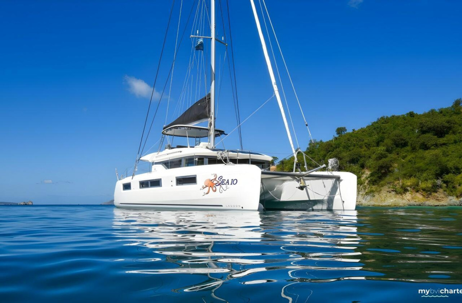 Photo #1 - Lagoon 50 OW - 4 + 1 cab. (Sea IO) in BVI, Tortola, Ritter House Marina - 39154