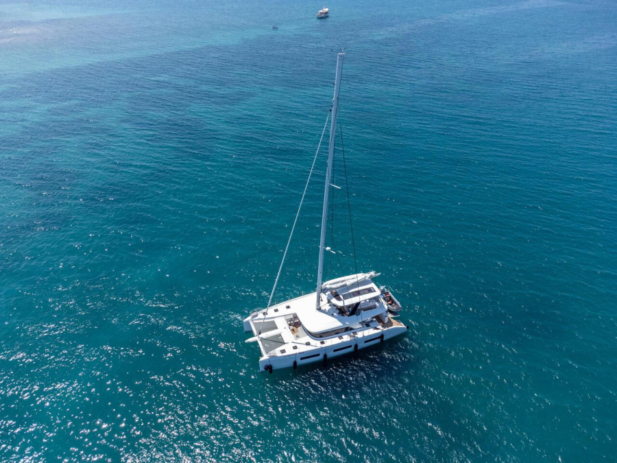 Seaductive Orca - 2