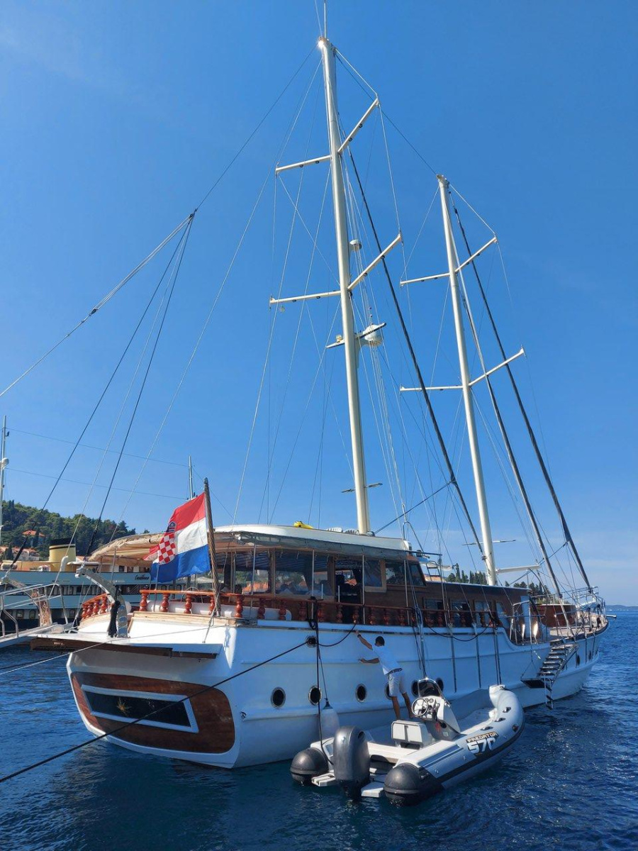 Phoenix Bronze - 2