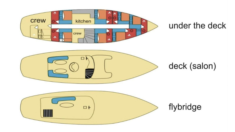Vito - 1