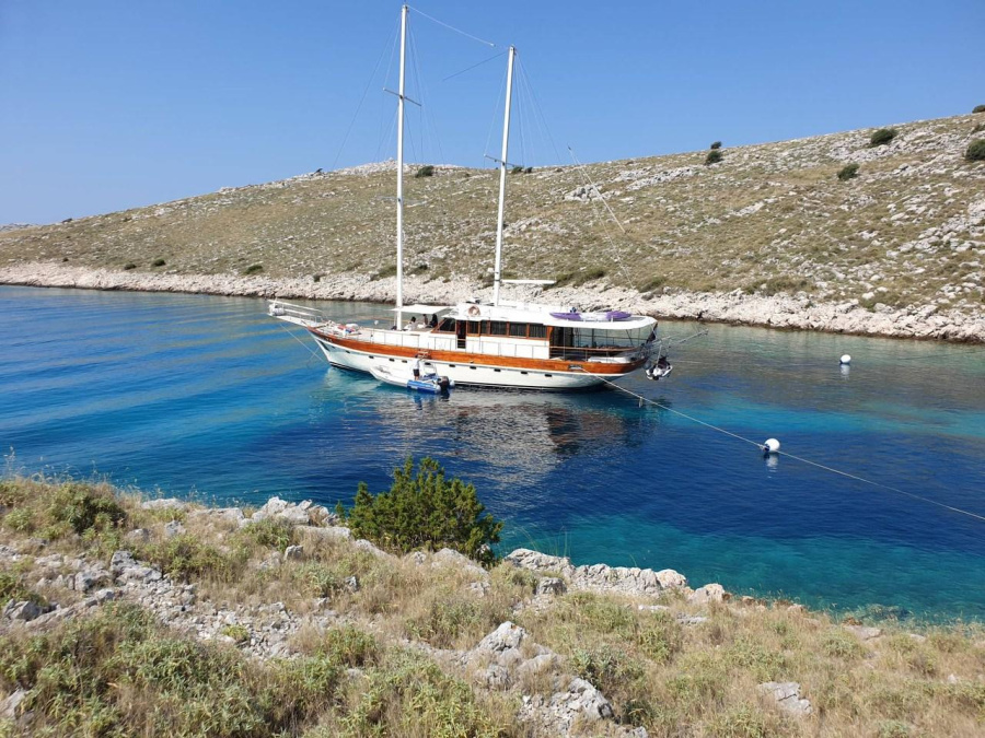 Photo #1 - Vito (Vito) in Harbour - 43638