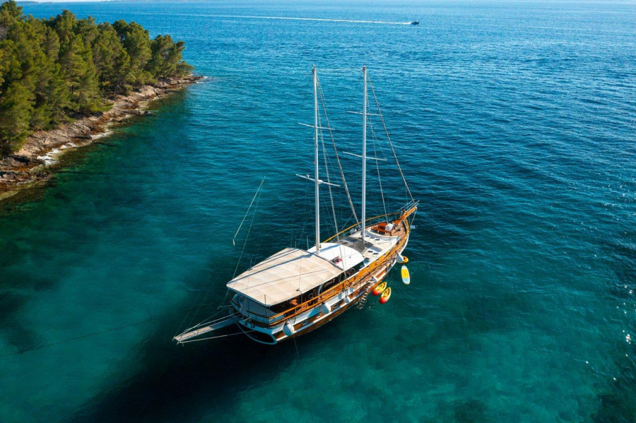 Photo #1 - M/S Allure (Allure) en West Coast (Zapadna obala) - 61231