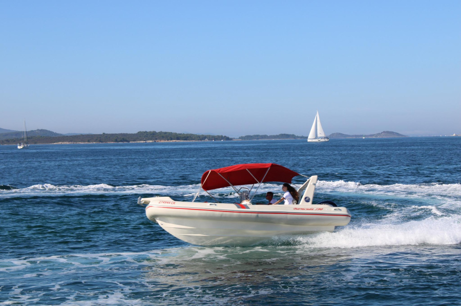 Barracuda 590 - 11 - 0