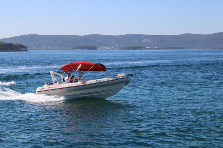 Barracuda 590 - 11 - 1