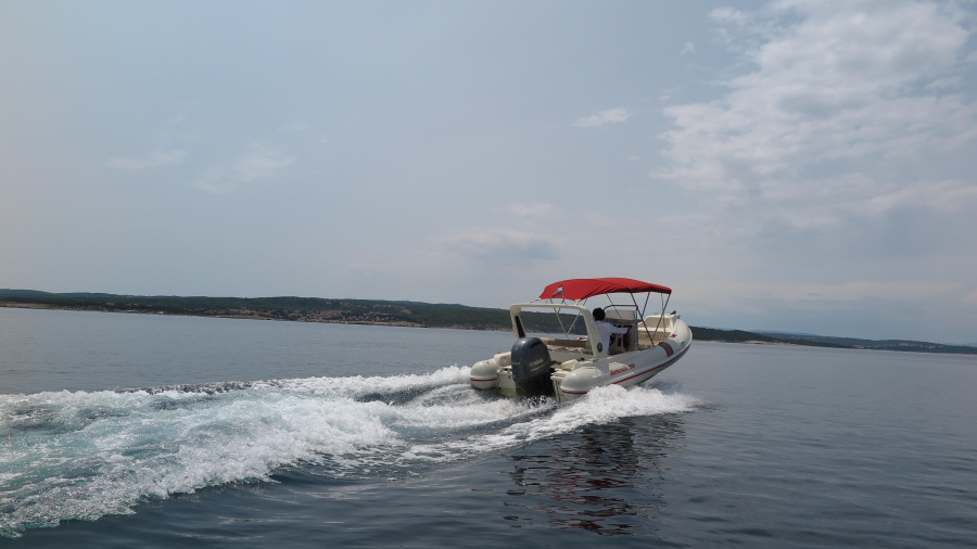 Barracuda 590 - 12 - 1