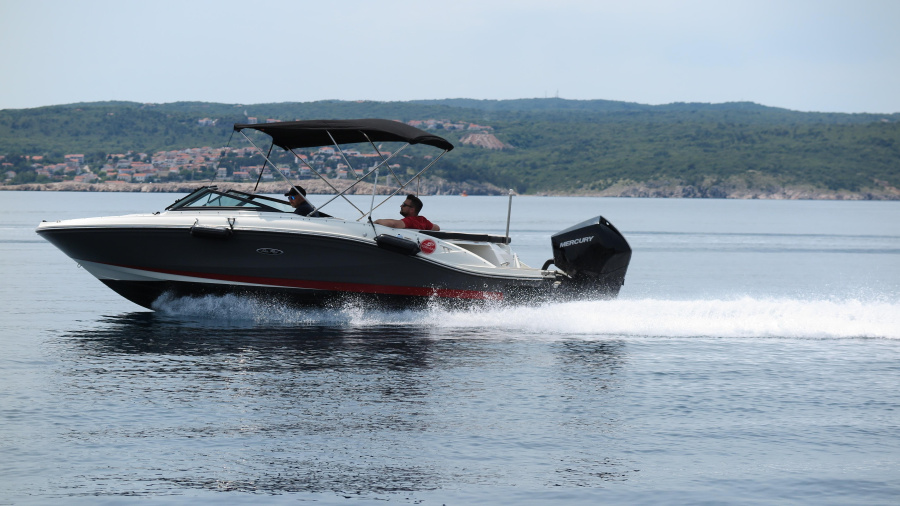 Sea Ray SPX 210 - 2