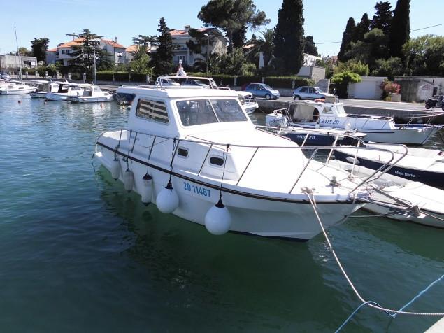 Photo #1 - Damor 800 - 1 cab. (Zadar) in Marina Zadar (ex. Tankerkomerc) - 46397