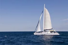 Poncin Yacht 82 (PHUKET DREAM "day charter")  - 4