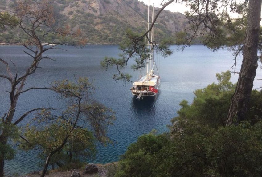 Photo #5 - Bibi Aysegul (Bibi Aysegul) in Bodrum - 30400