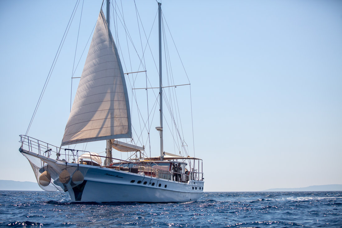 Photo #13 - Summer Princess (Summer Princess) en Kastel Stari - 30819