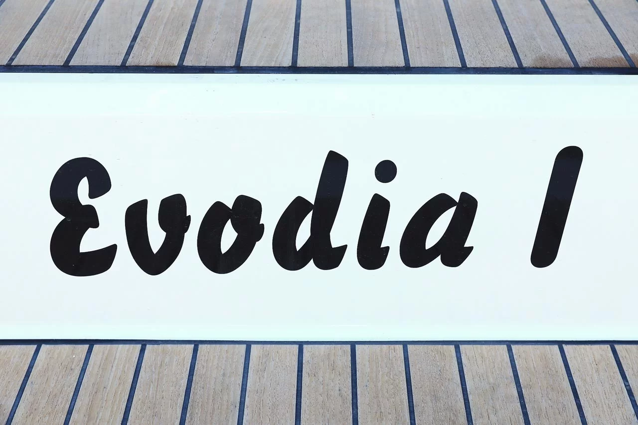 Bavaria Cruiser 46 - 4 cab. (Evodia 1)  - 5