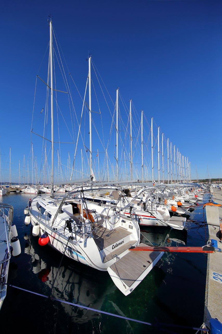 Photo #4 - Bavaria Cruiser 41 - 3 cab. (Calamari) in Lavrion - 32150