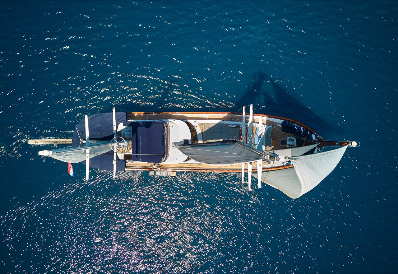 Photo #5 - Lotus (Lotus) in Split - 32286