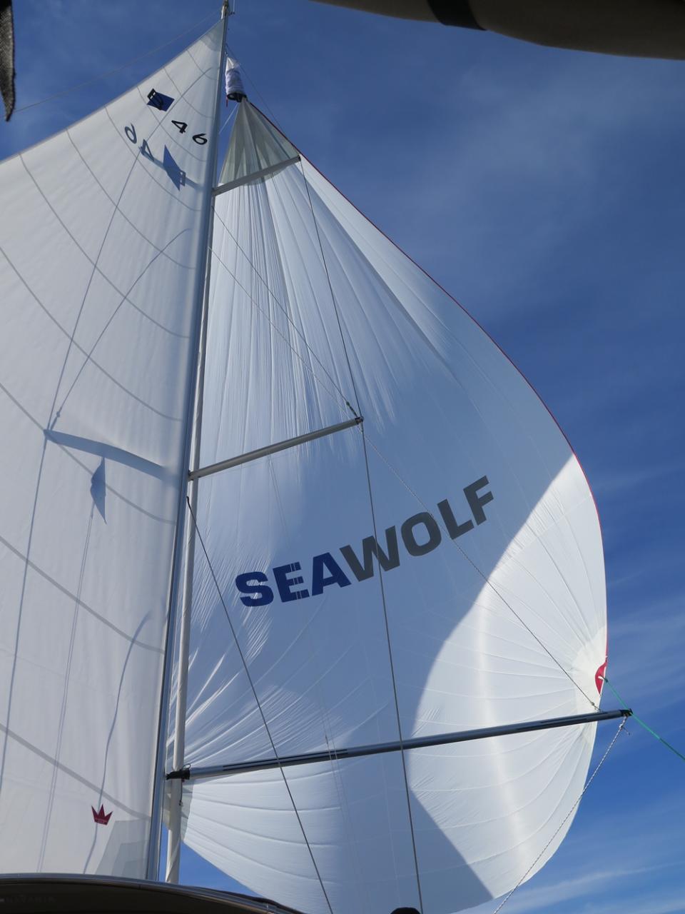 Photo #7 - Bavaria Cruiser 46 - 4 cab. (Seawolf) in Vrsar - 32328