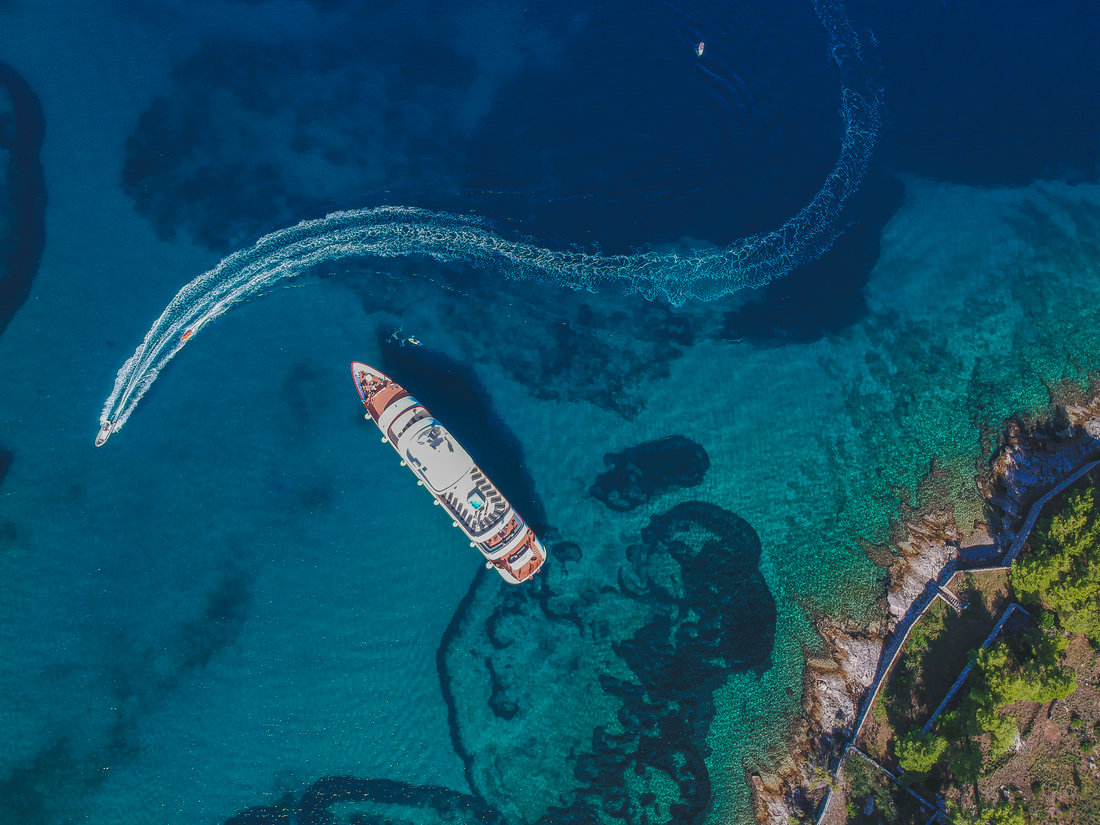 Photo #8 - YOLO (Yolo) in Split - 32527
