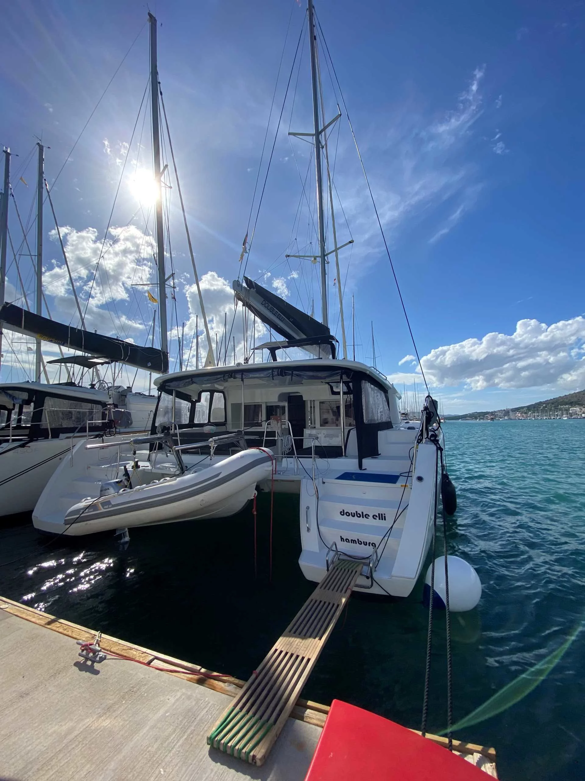Lagoon 450 F - 4 + 2 cab. (Double elli)  - 3