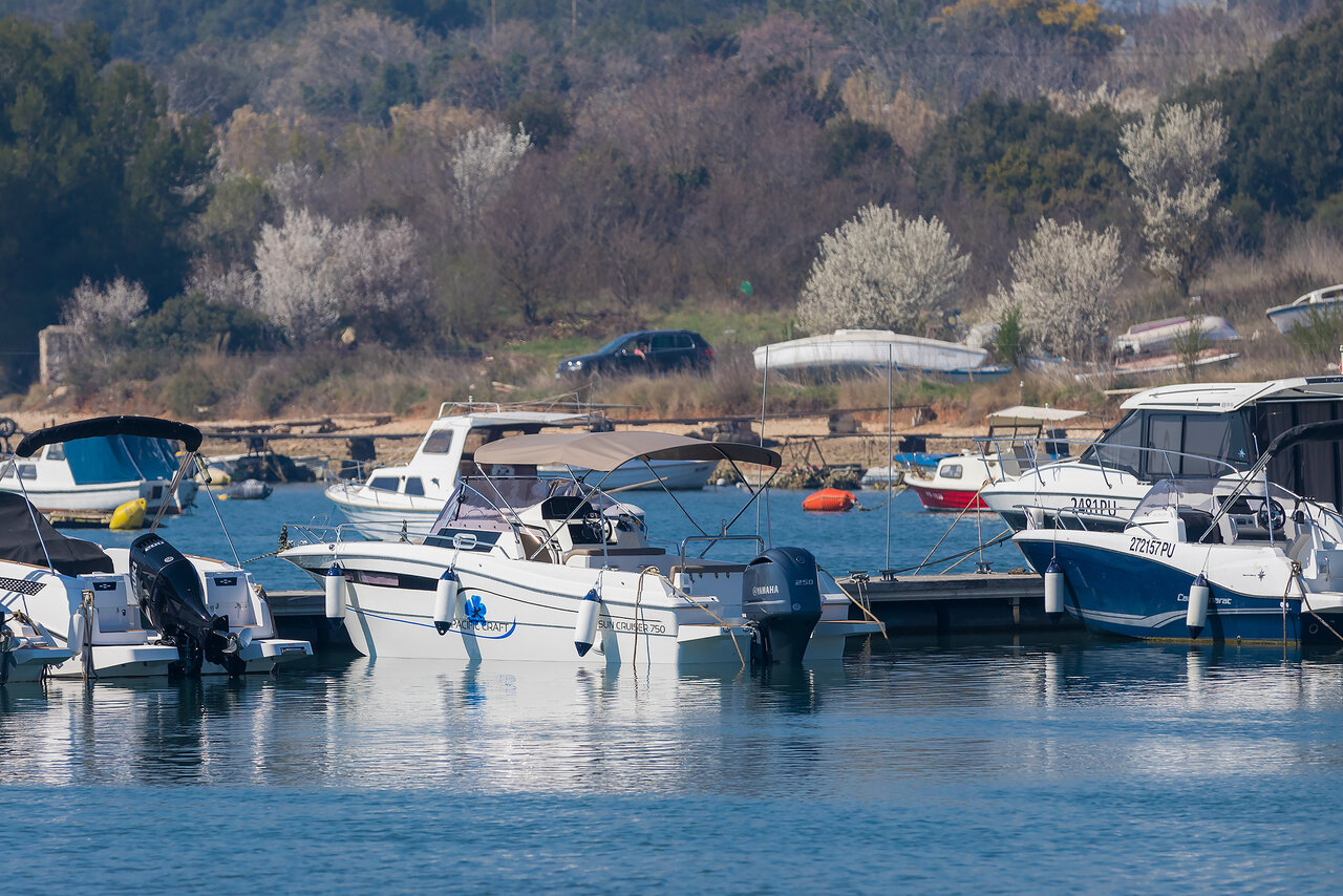 Photo #10 - Pacific Craft 750 Sun Cruiser (No Name) in Pula - 35759