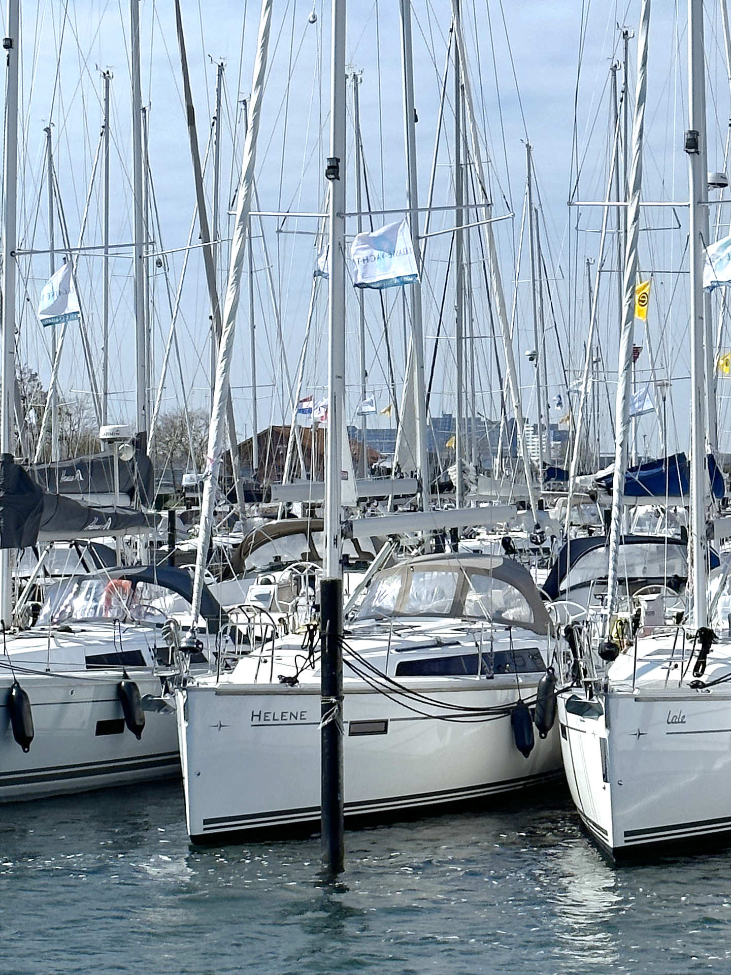Photo #5 - Bavaria Cruiser 37 - 3 cab. (Helene) en  - 39602