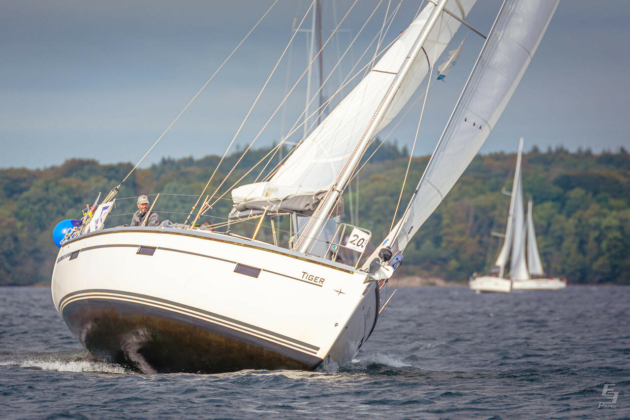 Photo #4 - Bavaria Cruiser 37 - 3 cab. (Tiger) in Flensburg - 39605