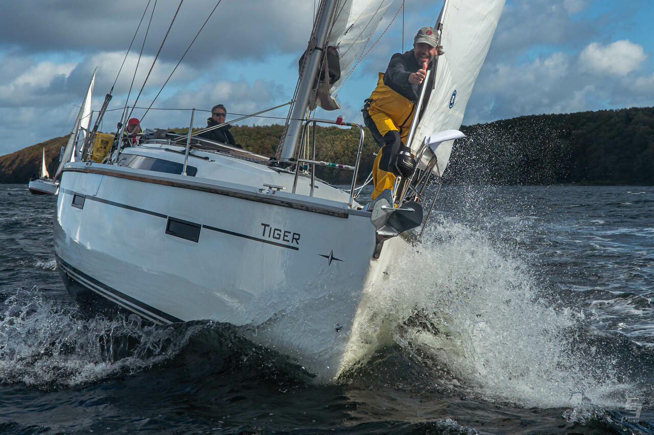 Photo #5 - Bavaria Cruiser 37 - 3 cab. (Tiger) in Flensburg - 39605