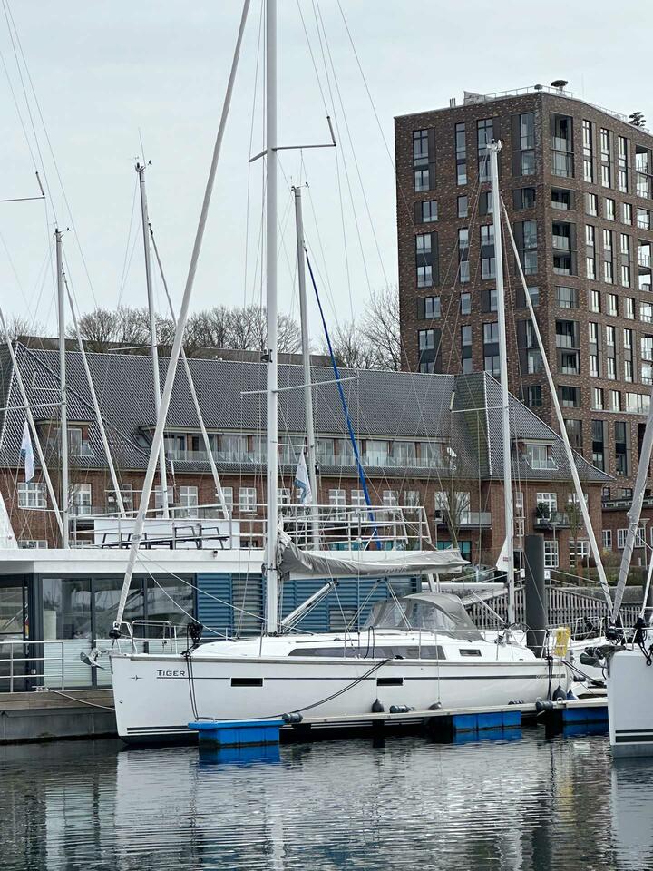 Photo #6 - Bavaria Cruiser 37 - 3 cab. (Tiger) in Flensburg - 39605