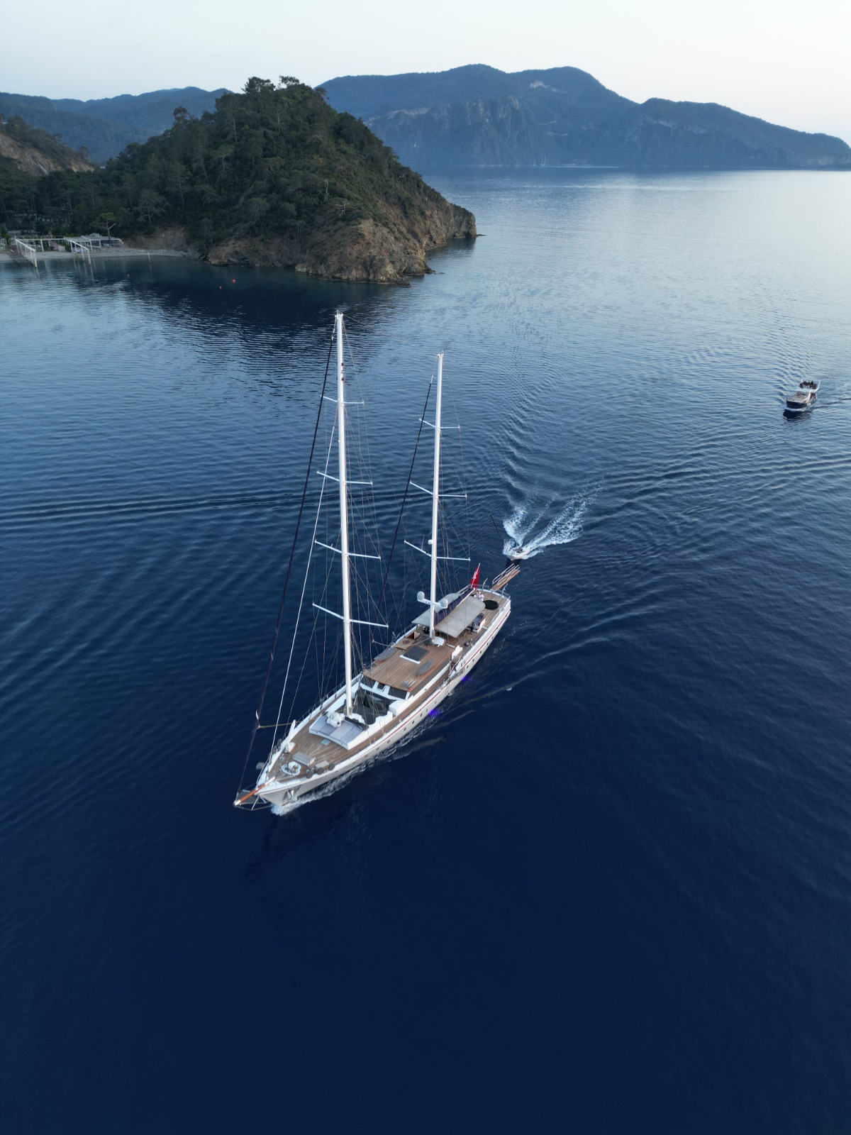 Photo #4 - Nautilus (Nautilus) in Fethiye - 39854