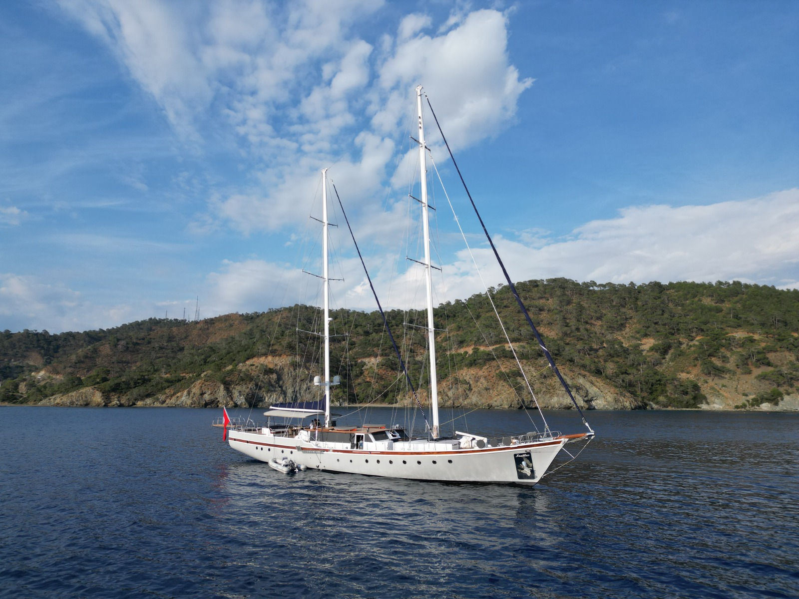 Photo #7 - Nautilus (Nautilus) in Fethiye - 39854