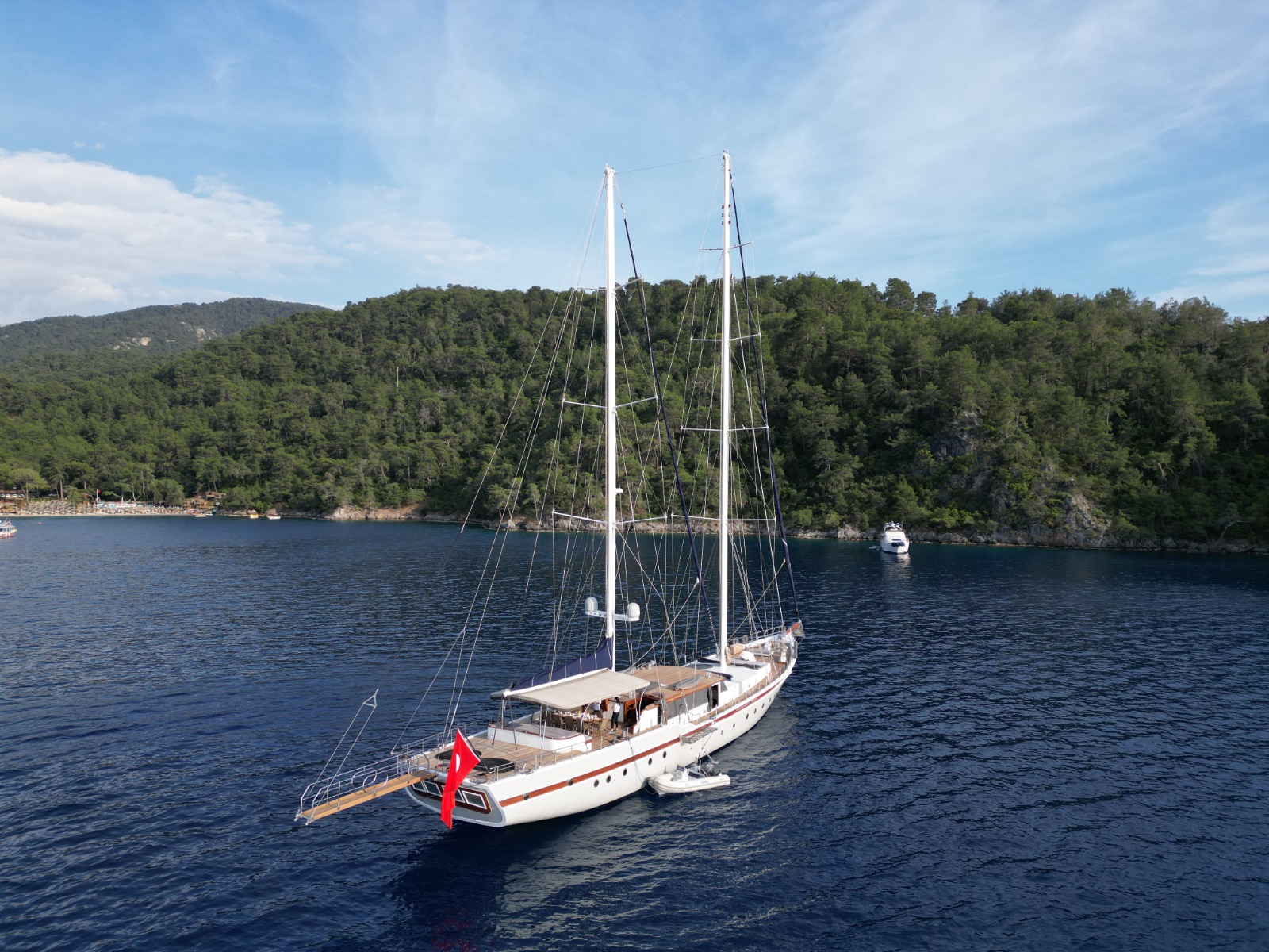 Photo #8 - Nautilus (Nautilus) in Fethiye - 39854