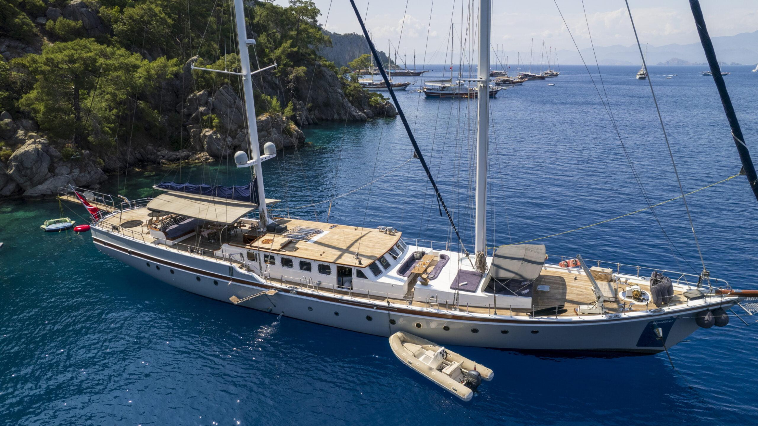 Photo #10 - Nautilus (Nautilus) in Fethiye - 39854