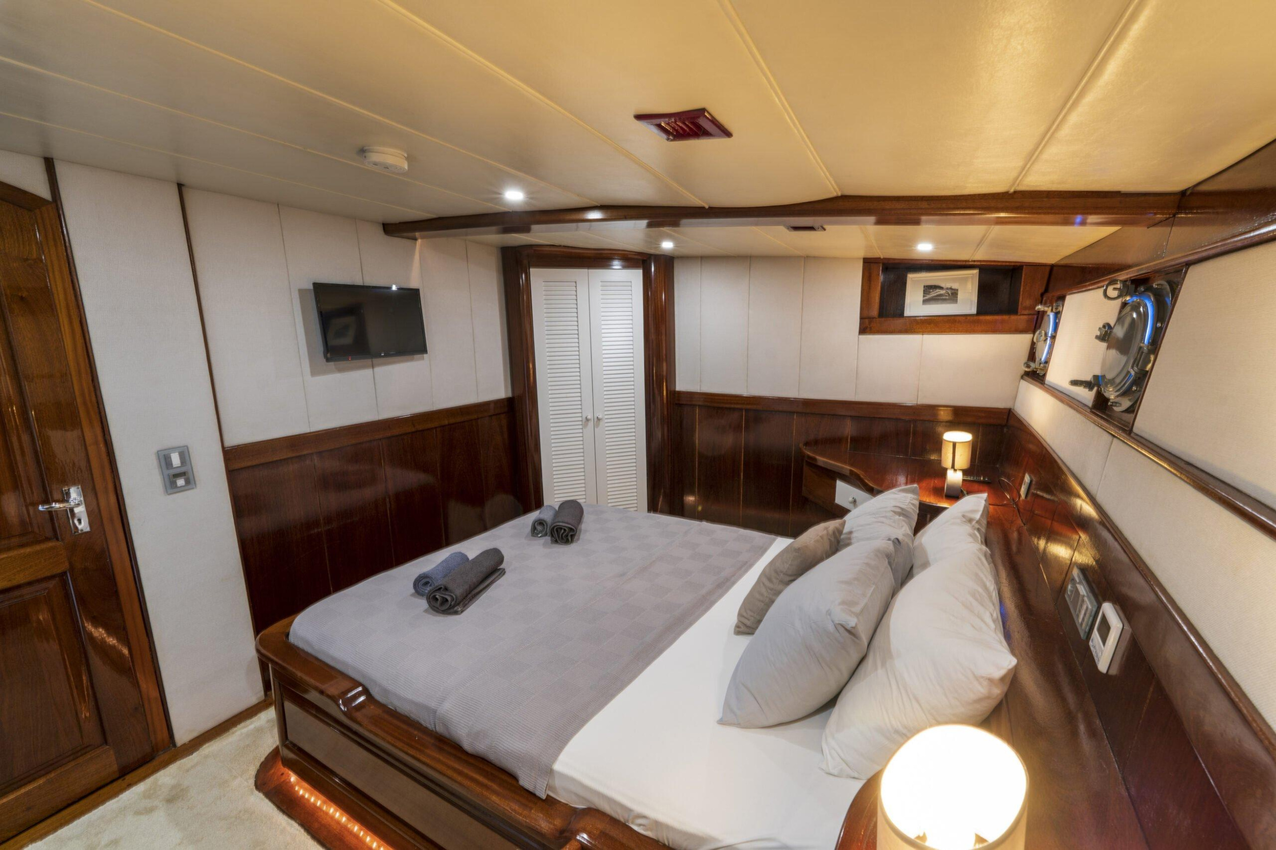 Photo #15 - Nautilus (Nautilus) in Fethiye - 39854
