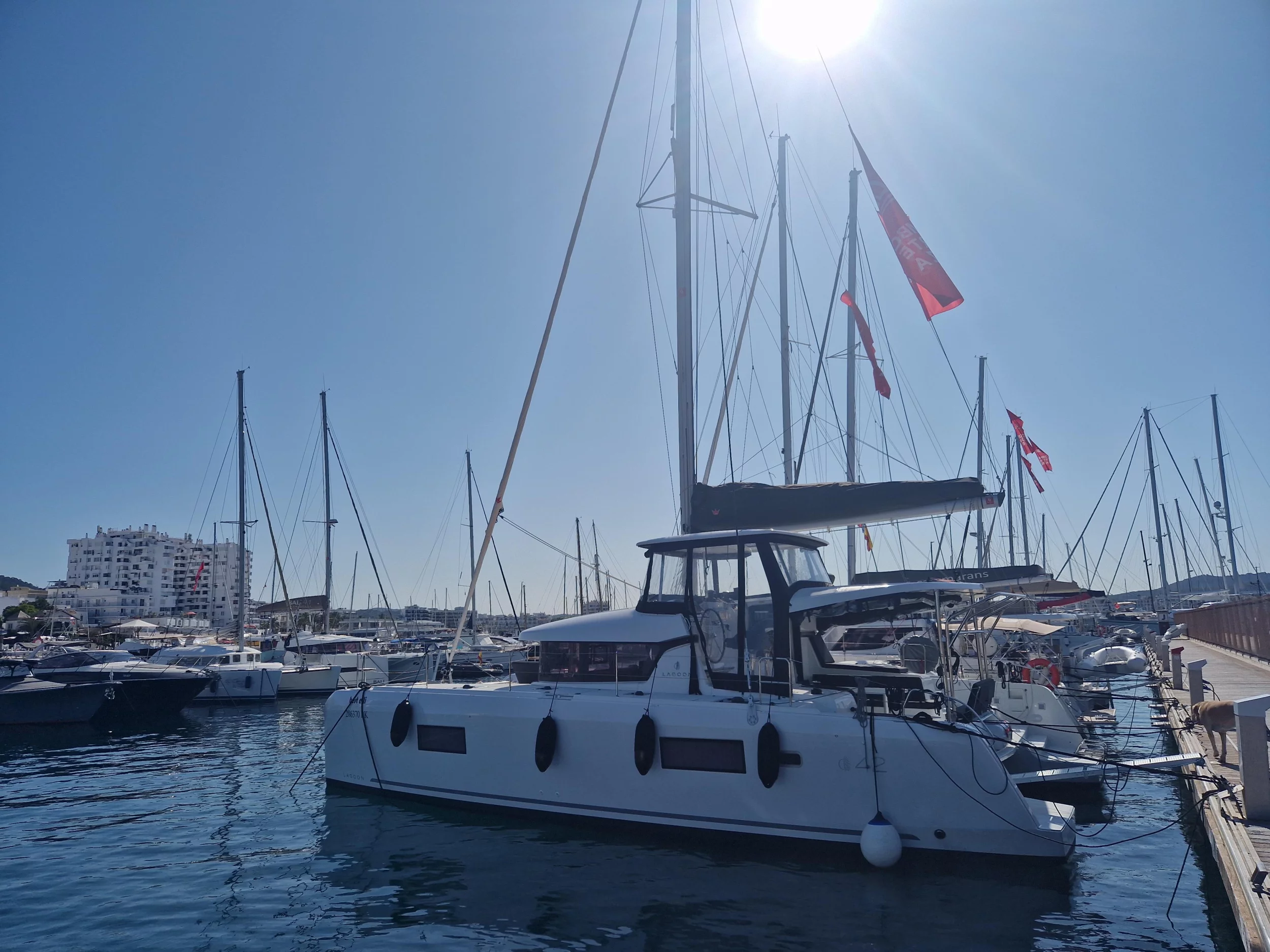 Lagoon 42 - 4 + 2 cab. (Best Elli)  - 4