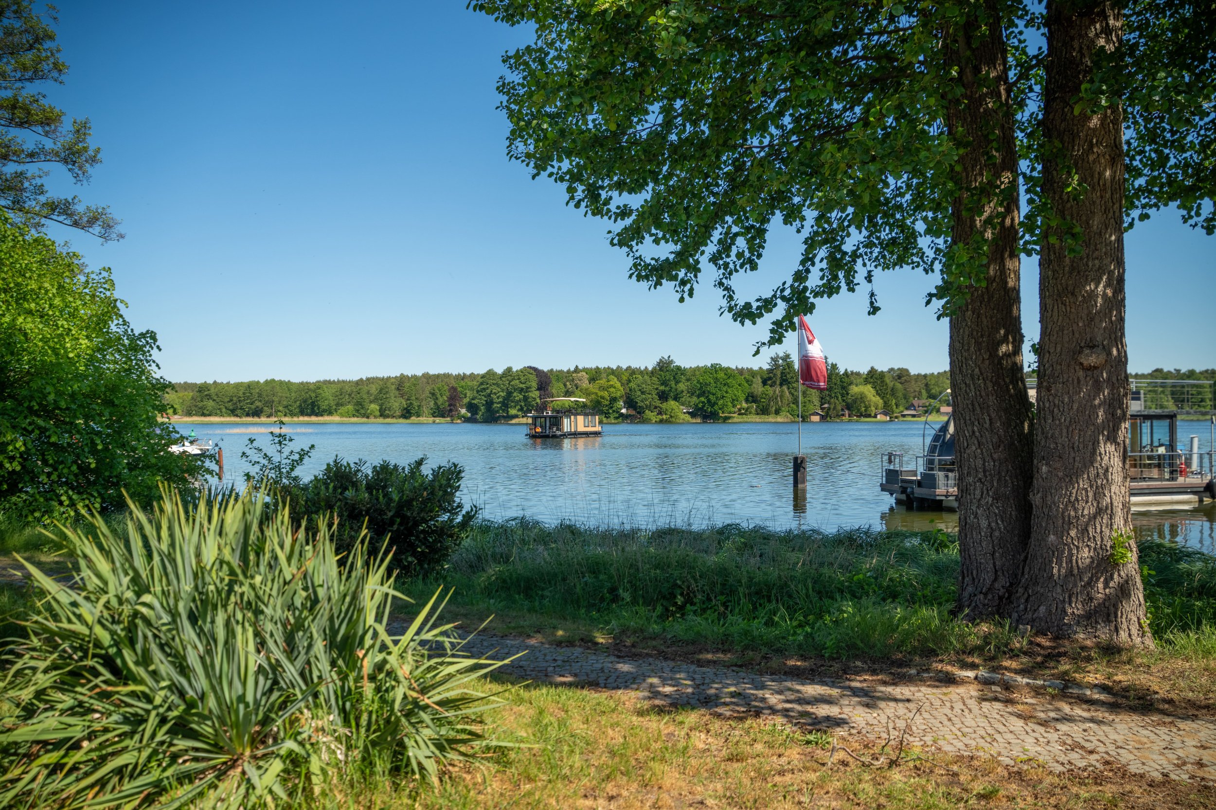 Photo #17 - Woma D13 (Pina) in Furstenberg - 40460