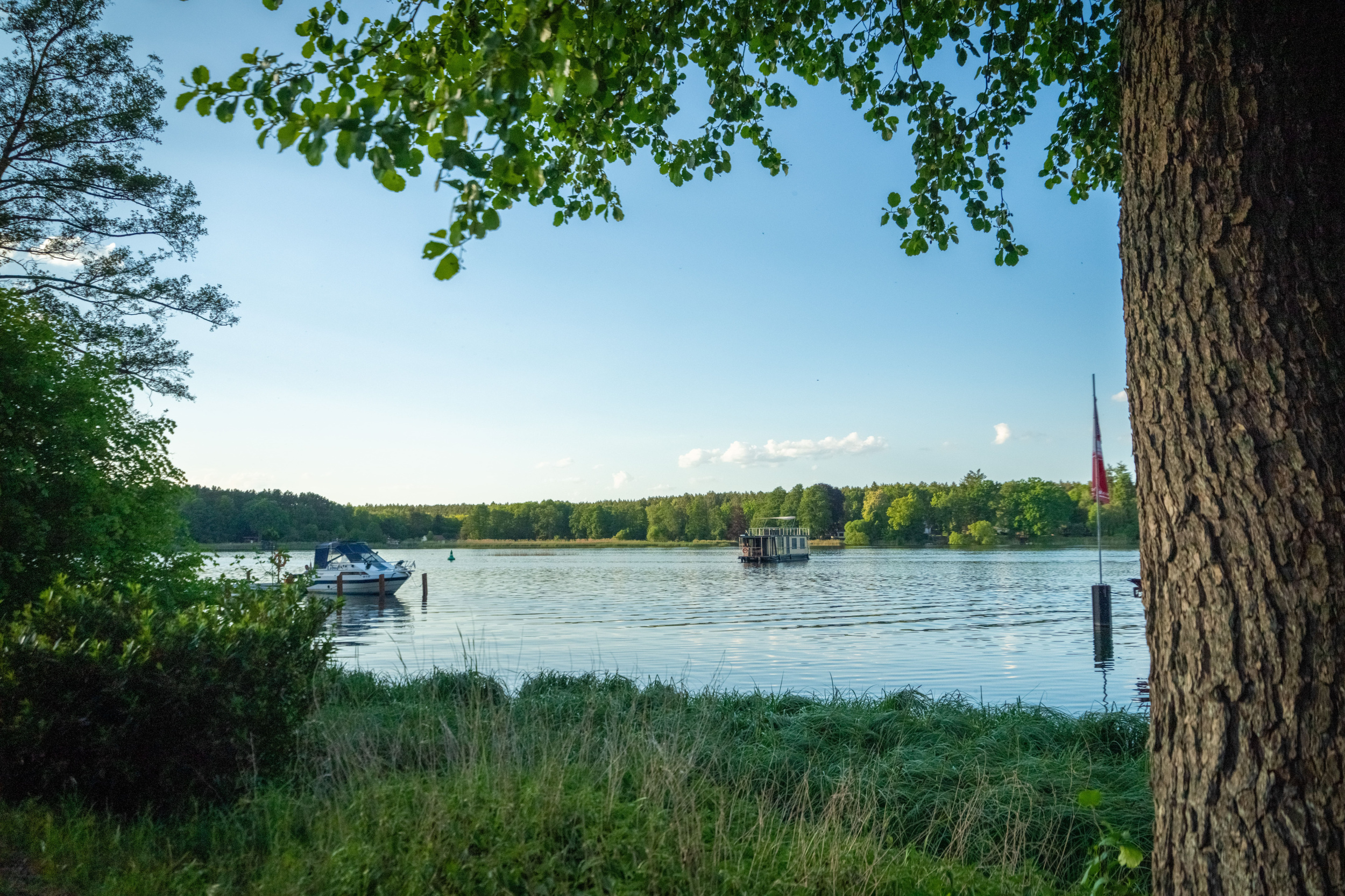 Photo #43 - Woma D13 (Emsel) en Furstenberg - 40769