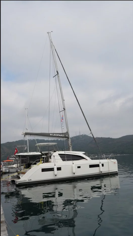 Leopard 40 (Panda Joy)  - 32
