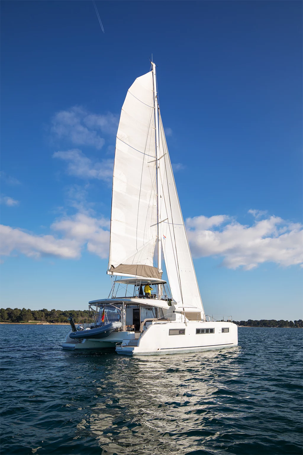 Lagoon 50 - 6 + 1 cab. (Aliana)  - 3