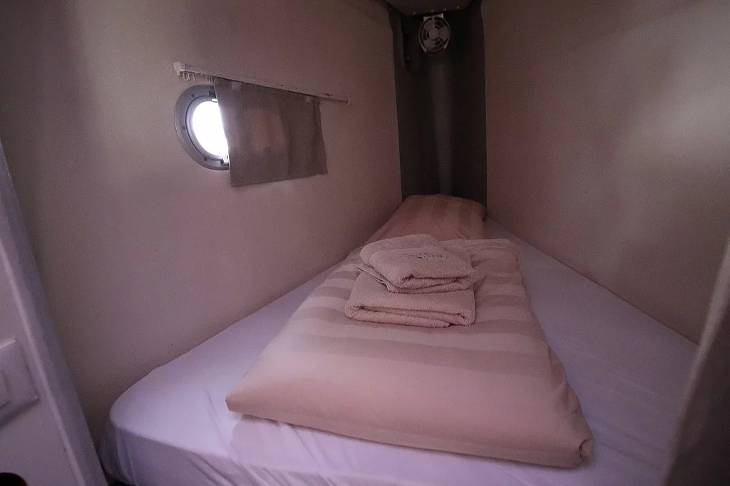 Fountaine Pajot Saona 47 Quintet - 5 + 1 cab. (Felicia)  - 10