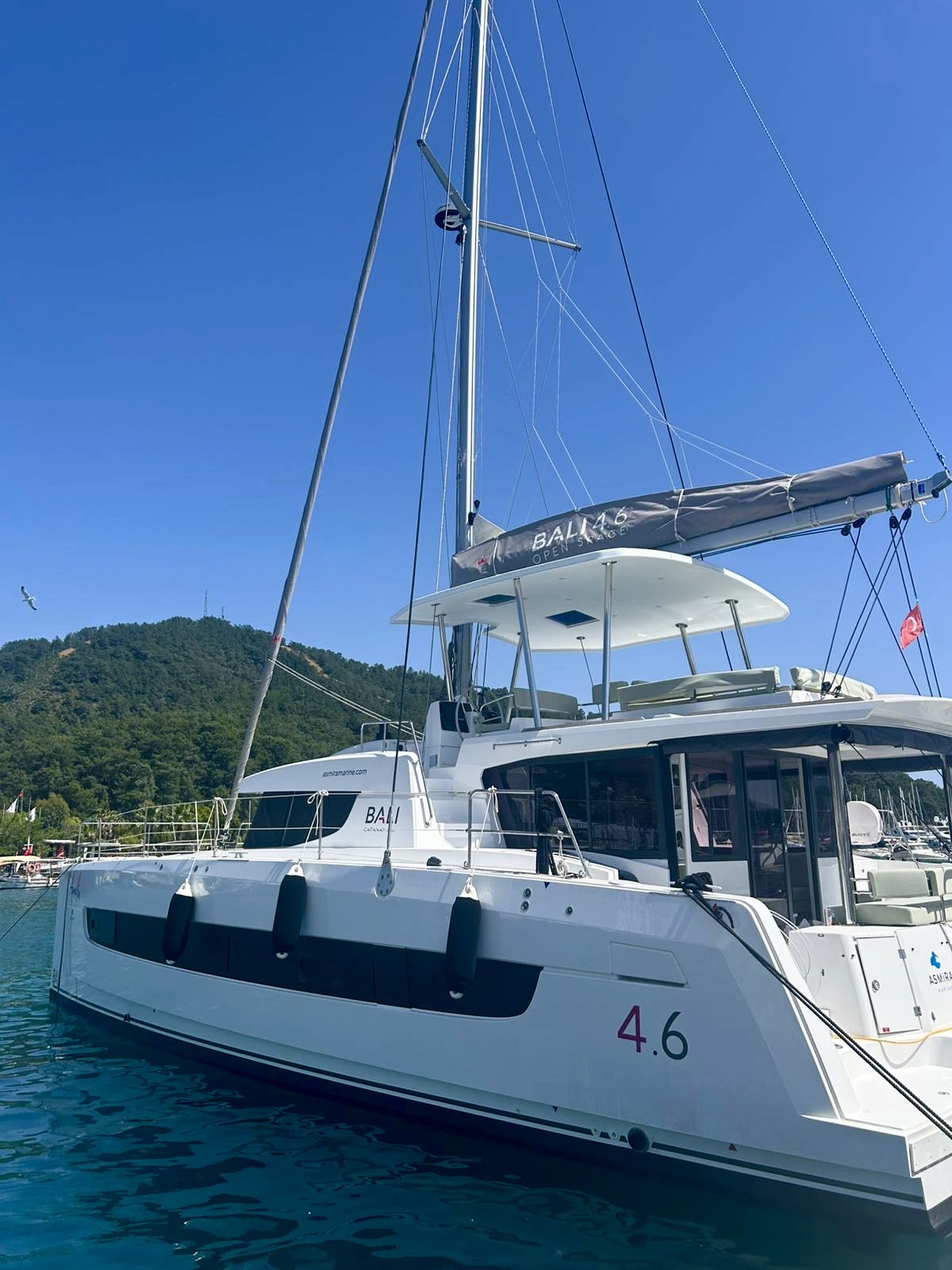 Photo #3 - Bali 4.6 - 5 + 1 cab. (Amelia) in Gocek - 41789