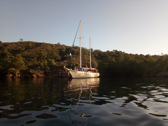 Photo #9 - Akin A (Akin A) in Bodrum - 42048