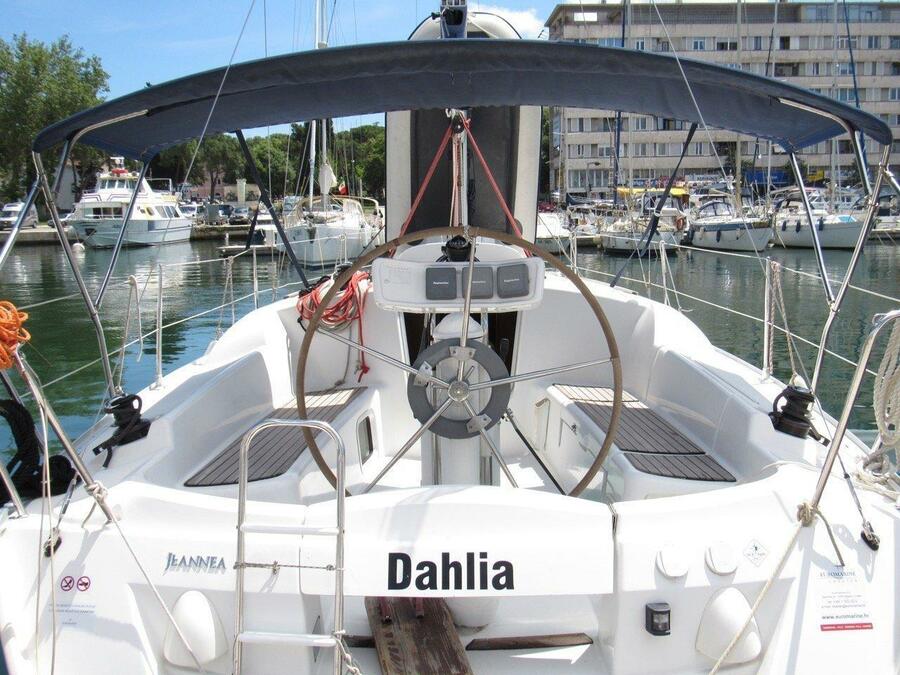 Dahlia - 2