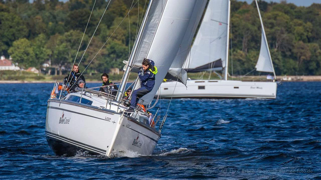 Bavaria Cruiser 34 (Loop)  - 3