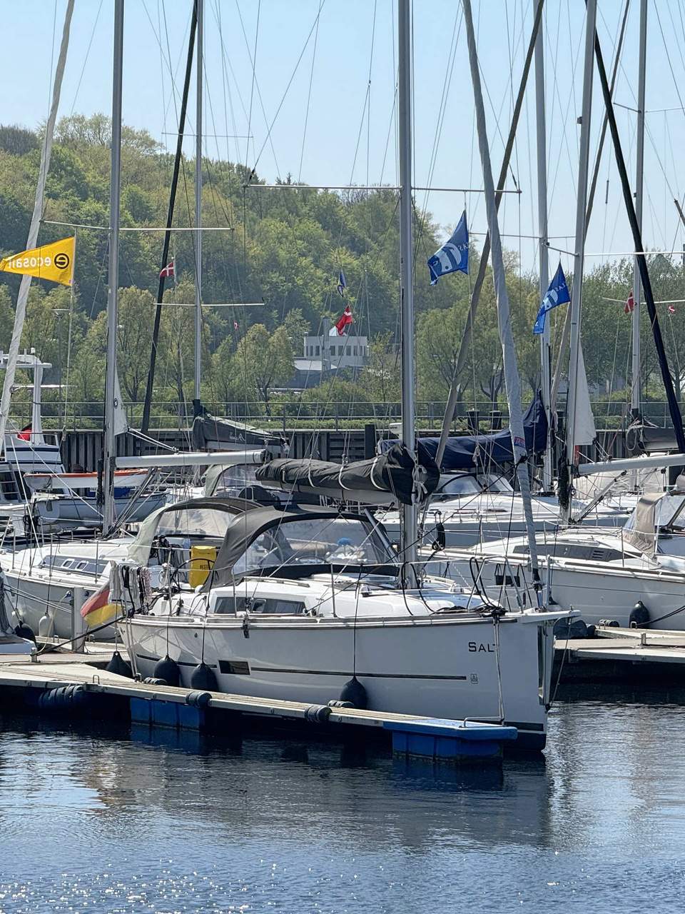 Photo #6 - Dufour 350 GL (Salt) in Flensburg - 42651