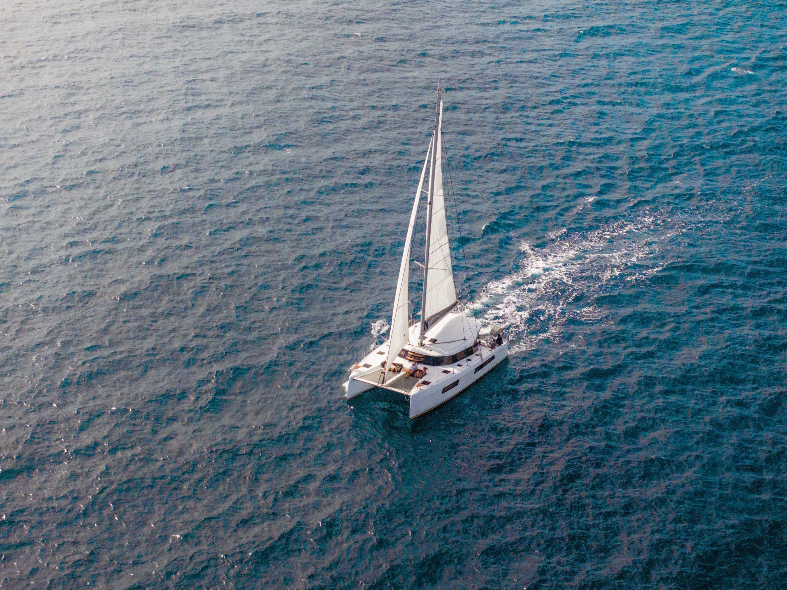 Nautitech 44 Open (Carpe Diem)  - 4