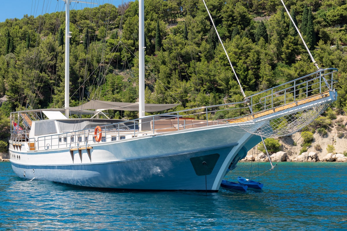 Photo #1 - Nautilus (Nautilus) in Split - 43464
