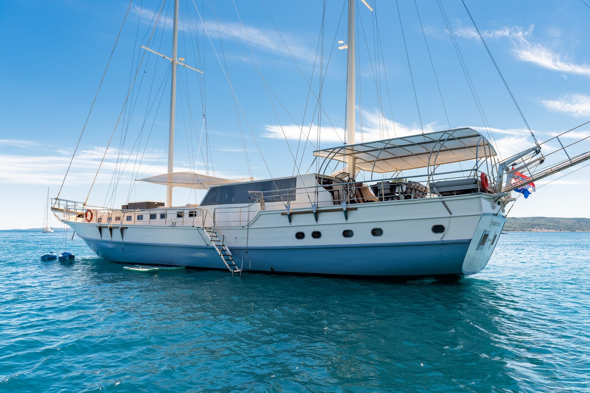 Photo #2 - Nautilus (Nautilus) in Split - 43464