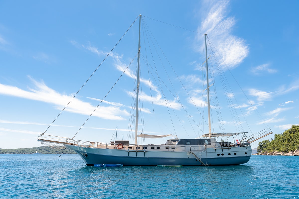 Photo #3 - Nautilus (Nautilus) in Split - 43464