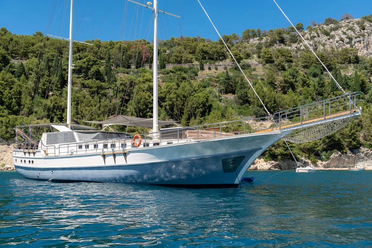 Nautilus (Nautilus)  - 5