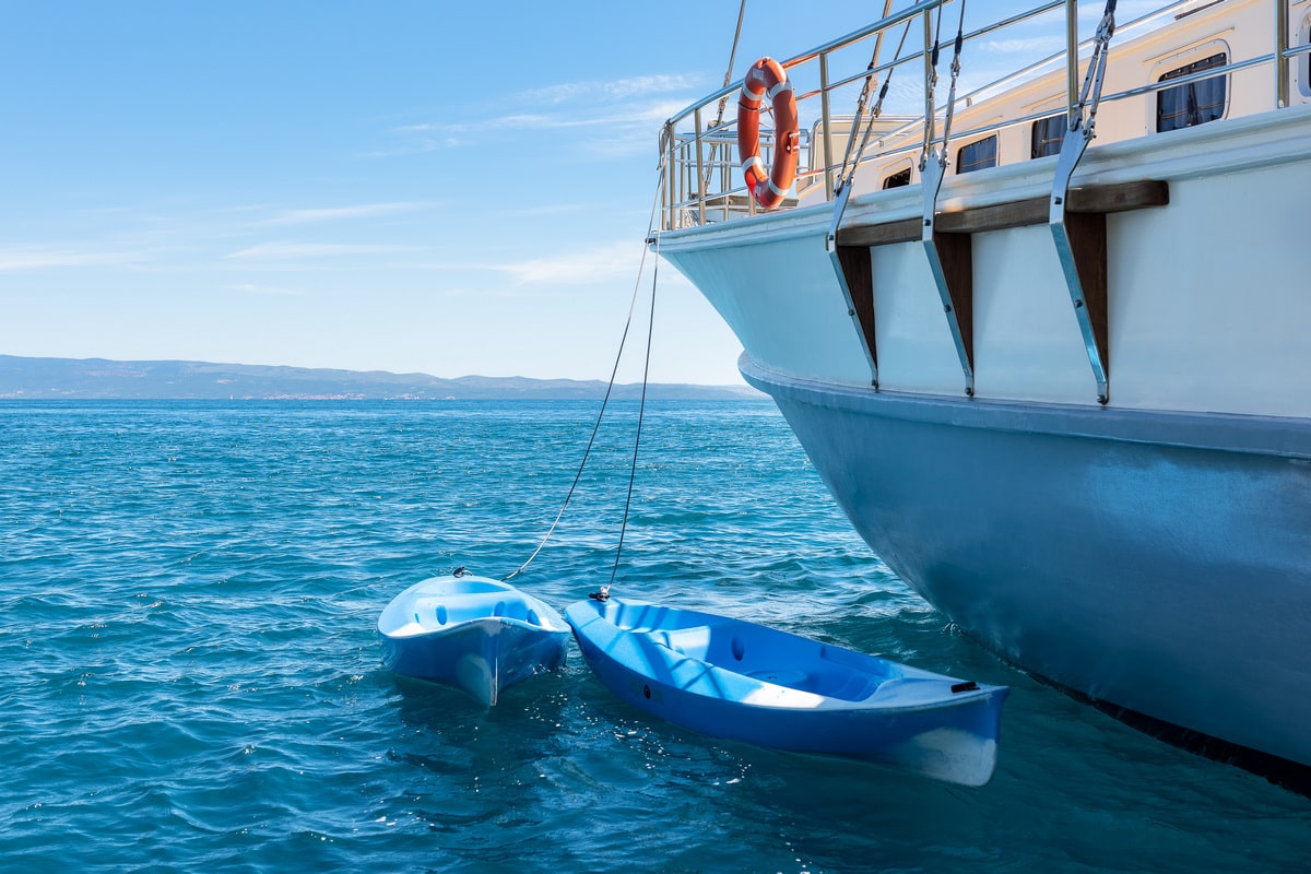 Photo #7 - Nautilus (Nautilus) in Split - 43464