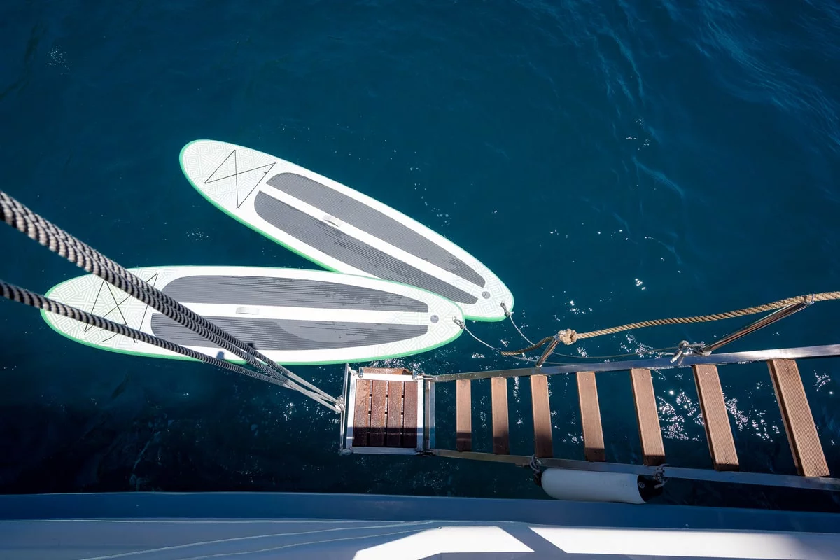 Nautilus (Nautilus)  - 7