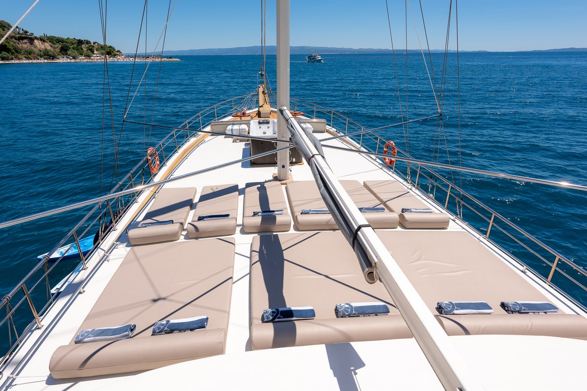 Photo #11 - Nautilus (Nautilus) in Split - 43464
