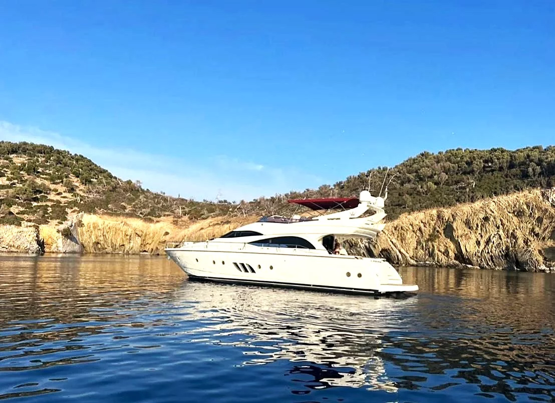 Dominator 62 S (Carmen)  - 2